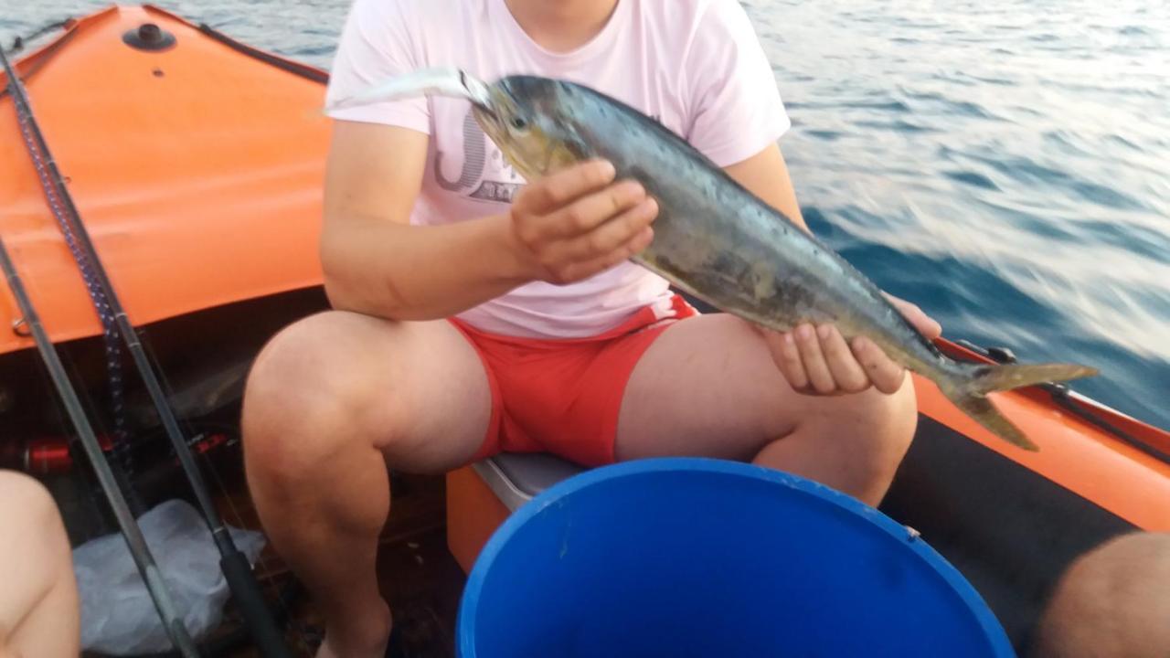 Darinka Aparthotel Ulcinj Bagian luar foto